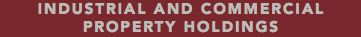 INDUSTRIAL AND COMMERCIAL PROPERTY HOLDINGS